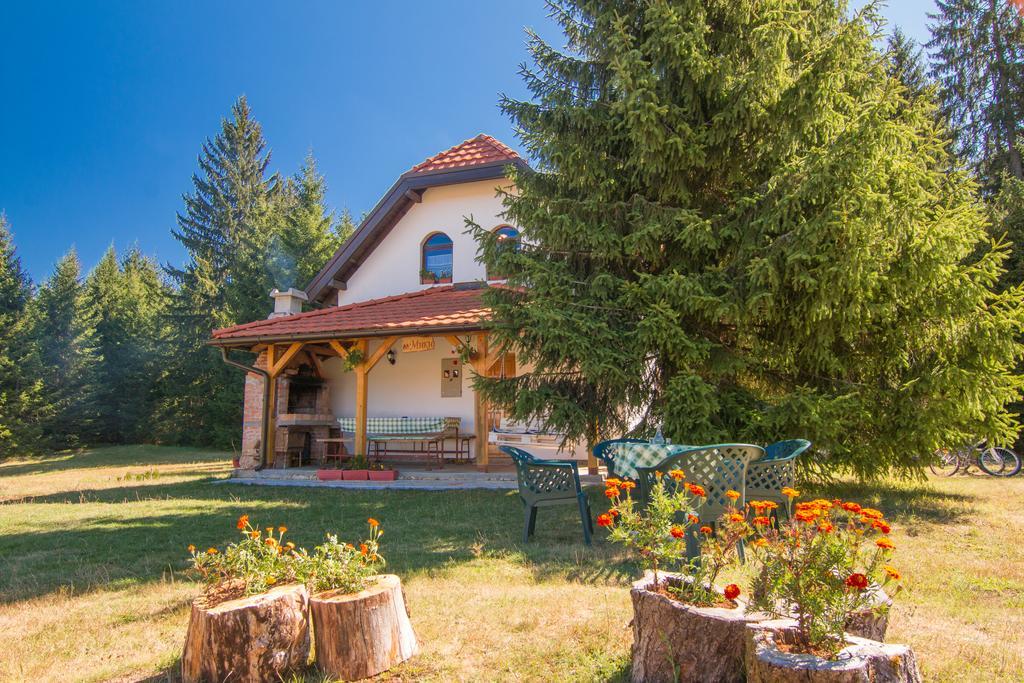 Vacation Home Miki Bajina Basta Kültér fotó