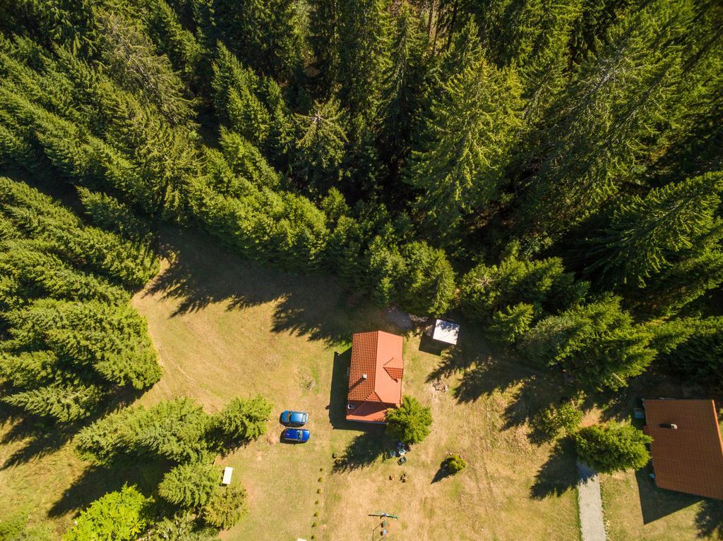 Vacation Home Miki Bajina Basta Kültér fotó